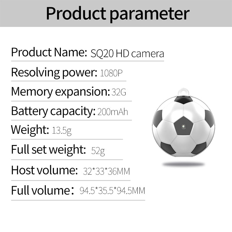 Spherical Mini Camera HD 1080P IP Camera Night Vision Hidden Spy Camera Portable Camera Small DVR