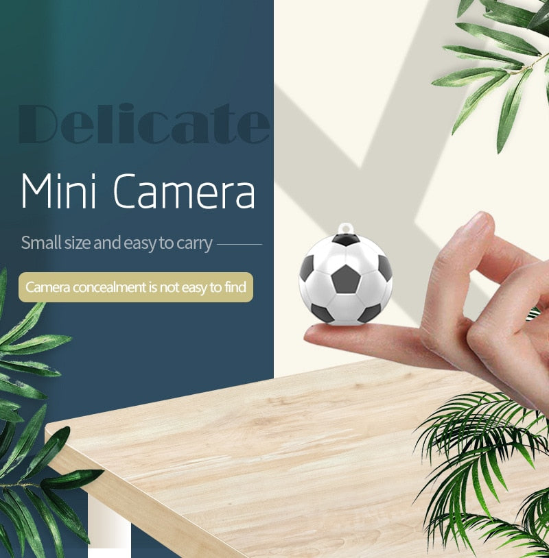 Spherical Mini Camera HD 1080P IP Camera Night Vision Hidden Spy Camera Portable Camera Small DVR